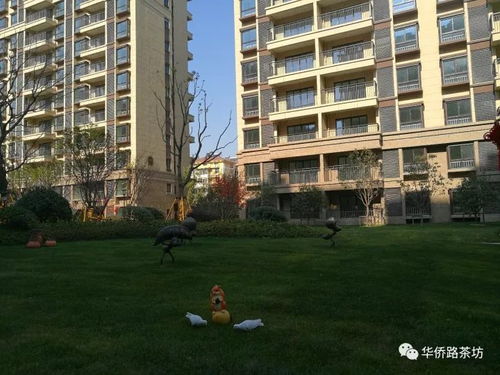 二手房價(jià)突破20000元 ㎡,江北新區(qū)大盤首批交付,實(shí)景圖曝光