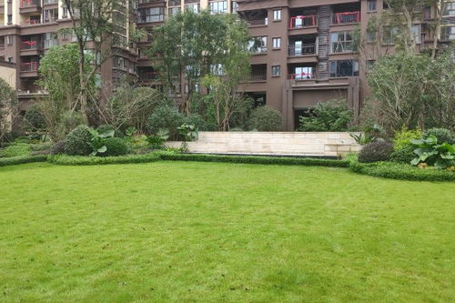 天悅國(guó)際優(yōu)點(diǎn) 不足,天悅國(guó)際怎么樣,天悅國(guó)際周邊房產(chǎn)中介經(jīng)紀(jì)人評(píng)價(jià)