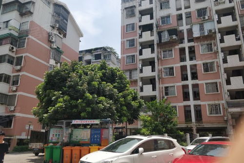 下池小區(qū)優(yōu)點 不足,下池小區(qū)怎么樣,下池小區(qū)周邊房產(chǎn)中介經(jīng)紀(jì)人評價 福州安居客