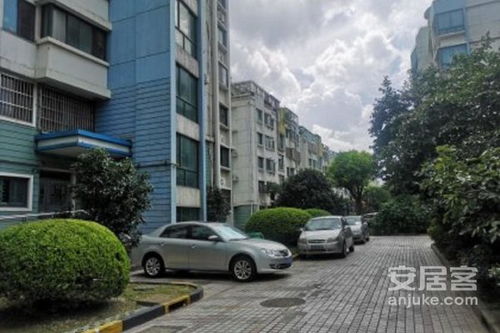 櫻花路89弄小區(qū)優(yōu)點 不足,櫻花路89弄小區(qū)怎么樣,櫻花路89弄小區(qū)周邊房產(chǎn)中介經(jīng)紀(jì)人評價