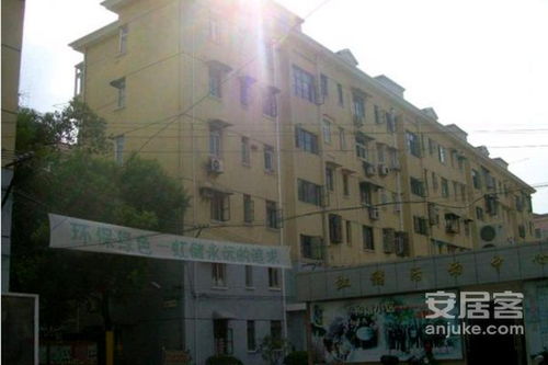 虹儲小區(qū)優(yōu)點 不足,虹儲小區(qū)怎么樣,虹儲小區(qū)周邊房產中介經紀人評價