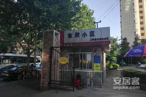 東欣小區(qū)優(yōu)點 不足,東欣小區(qū)怎么樣,東欣小區(qū)周邊房產(chǎn)中介經(jīng)紀人評價