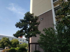 港城尚府圖片相冊(cè),北京港城尚府實(shí)景圖 室外圖 小區(qū)配套圖 北京安居客