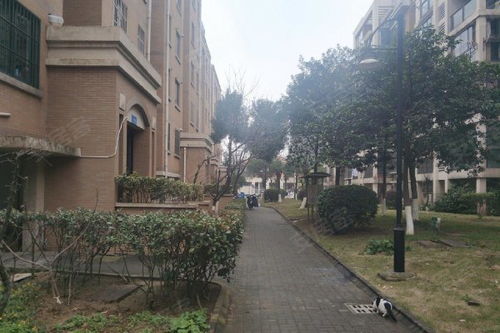 京口花園優(yōu)點(diǎn) 不足,京口花園怎么樣,京口花園周邊房產(chǎn)中介經(jīng)紀(jì)人評價(jià) 鎮(zhèn)江安居客