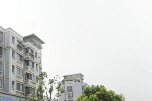 芳華路713弄小區(qū)綜合評(píng)價(jià) 優(yōu)點(diǎn)、不足與周邊中介服務(wù)