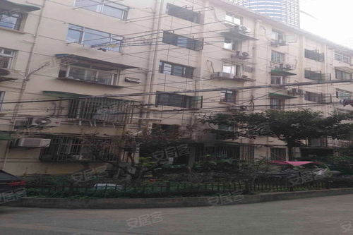 黃浦大同小區(qū)綜合評(píng)測(cè) 優(yōu)缺點(diǎn)、居住體驗(yàn)與周邊中介服務(wù)分析